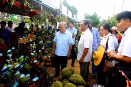 Tham quan các gian hàng trái cây trong ngày hội du lịch sông nước miệt vườn. (Ảnh: Hồng Nhung/TTXVN)