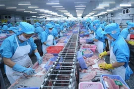Chế biến cá tra xuất khẩu. (Ảnh minh họa: TTXVN)