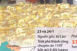 Liên tiếp triệt phá nhiều vụ án ma túy “khủng” từ đầu năm tới nay