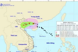 Chùm ảnh đường đi và vị trí cơn bão. (Nguồn: nchmf)