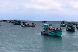 Tàu cá trên vùng biển. (Ảnh: Lê Huy Hải/TTXVN)