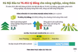 [Infographics] Hà Nội đầu tư 76.451 tỷ đồng xây dựng nông thôn mới