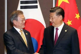 Tổng thống Hàn Quốc Moon Jae-in (trái) trong cuộc gặp Chủ tịch Trung Quốc Tập Cận Bình bên lề Tuần lễ Cấp cao Diễn đàn Hợp tác Kinh tế châu Á-Thái Bình Dương (APEC) tại thủ đô Port Moresby của Papua New Guinea ngày 17/11/2018. (Ảnh: Yonhap/TTXVN)