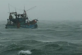 Vùng biển tỉnh Cà Mau biển động mạnh, gió giật trên cấp 7. (Ảnh: Huỳnh Thế Anh/TTXVN)