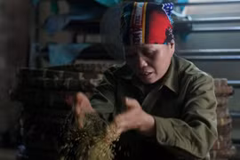 Những hình ảnh về nghề làm tương bần ở tỉnh Hưng Yên 