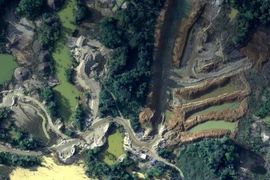 Một khu khai thác mỏ trái phép trong rừng Amazon tại Madre de Dios, đông nam Peru, tháng 8/2018. (Ảnh: AFP/TTXVN)