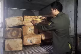 Công an huyện Sa Pa khởi tố 5 đối tượng tấn công kiểm lâm