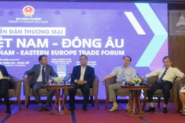Phiên thảo luận thu hút sự tham gia của nhiều chuyên gia, doanh nghiệp. (Ảnh: Hứa Chung/TTXVN)