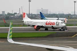 Máy bay của hãng hàng không Lion Air. (Ảnh: AFP/TTXVN)