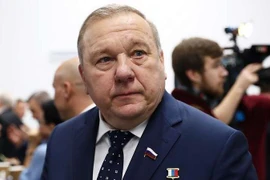 Chủ tịch Ủy ban Quốc phòng Duma Quốc gia Nga Vladimir Shamanov. (Nguồn: tass)