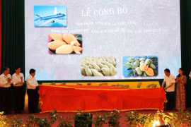 Lãnh đạo Bộ Nông nghiệp và Phát triển Nông thôn, tỉnh Sơn La, doanh nghiệp xuất khẩu và hợp tác xã có xoài xuất khẩu thực hiện nghi thức công bố sản phẩm xoài xuất khẩu năm 2019. (Ảnh: Nguyễn Cường/TTXVN)