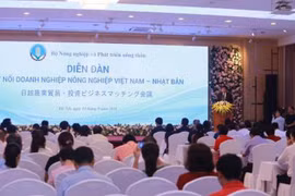Quang cảnh diễn đàn. (Ảnh: Thành Trung/BNEWS/TTXVN)