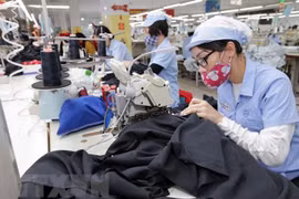 May hàng xuất khẩu. (Ảnh: Trần Việt/TTXVN)