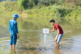 Lực lượng dân quân quây chắn và đặt biển cảnh báo tại khu vực phát hiện quả bom. (Ảnh: Xuân Tư/TTXVN)