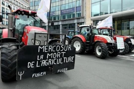 Các nhóm nông nghiệp là một trong những người đầu tiên phản đối thỏa thuận của EU, trước khi các vụ cháy ở rừng nhiệt đới Amazon thu hút sự chú ý toàn cầu. (Nguồn: Getty Images)