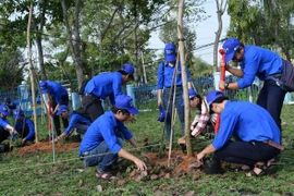 Đoàn viên thanh niên trồng cây “vì môi trường xanh trong tương lai” tại Trường Trung học phổ thông Lấp Vò 2, huyện Cao Lãnh, tỉnh Đồng Tháp. (Ảnh: Chương Đài/TTXVN)