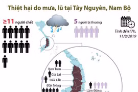 [Infographics] Thiệt hại do mưa, lũ tại Tây Nguyên và Nam Bộ