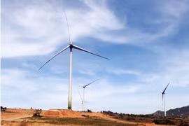 Dự án nhà máy điện gió Mũi Dinh (huyện Thuận Nam) công suất 23 MW đang được nhà đầu tư gấp rút thi công. (Ảnh: Công Thử/TTXVN)