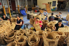 Những hình ảnh độc đáo về nghề đan bèo tây tại Ninh Bình