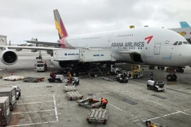 Máy bay của Asiana Airlines. (Ảnh: AFP/TTXVN)