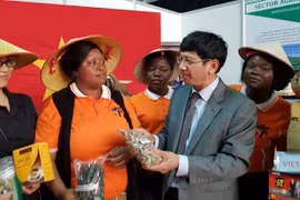 Đại sứ Việt Nam tại Mozambique Lê Huy Hoàng và cán bộ Đại sứ quán giới thiệu sản phẩm hàng hóa Việt Nam tại Hội chợ FACIM. (Ảnh: Đình Lượng/TTXVN)