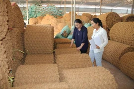 Công ty Trách nhiệm hữu hạn Một thành viên Út Mừng chuyên sản xuất sản phẩm từ chỉ tơ xơ dừa, là một trong những doanh nghiệp được Dự án hỗ trợ phát triển sản xuất. (Ảnh: Thanh Hòa/TTXVN)