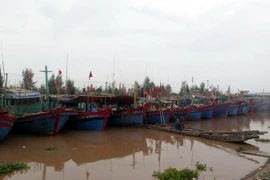 Tàu thuyền của ngư dân tránh trú bão tại khu neo đậu tàu thuyền thị trấn Thịnh Long, huyện Hải Hậu. (Ảnh: Văn Đạt/TTXVN)