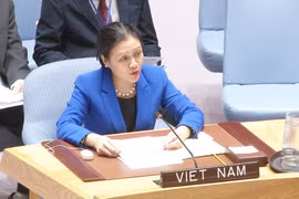 Đại sứ Nguyễn Phương Nga, Trưởng Phái đoàn Việt Nam tại Liên hợp quốc. (Nguồn: TTXVN)