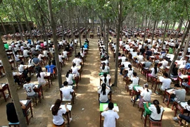 [Photo] Chuyển địa điểm thi cuối kỳ vào rừng để... kết quả tốt hơn
