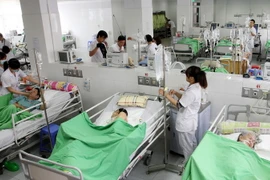 Các y, bác sỹ của bệnh viện điều trị, chăm sóc bệnh nhân. (Ảnh: Trung Kiên/TTXVN)