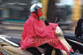Ảnh minh họa. (Nguồn: Vietnam+)