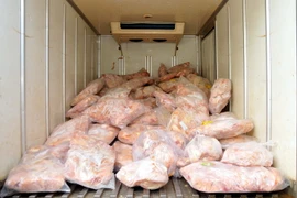 (Ảnh chỉ mang tính minh họa: An Hiếu/TTXVN)