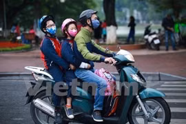 Ảnh minh họa. (Nguồn: Vietnam+) 
