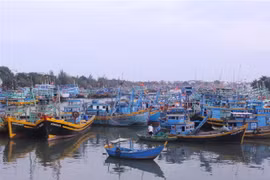 Tàu, thuyền neo đậu tại cảng cá Phan thiết. (Ảnh: Hồng Hiếu/TTXVN) 