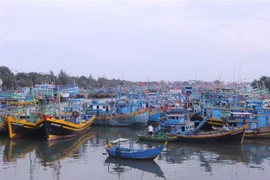 Tàu, thuyền neo đậu tại cảng cá Phan thiết. (Ảnh: Hồng Hiếu/TTXVN) 