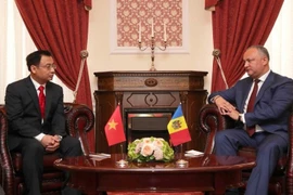 Đại sứ Việt Nam tại Ukraine, kiêm nhiệm Moldova Nguyễn Anh Tuấn tiếp kiến Tổng thống Moldova Igor Dodon tại buổi trình Ủy nhiệm thư. (Ảnh: Dương Trí/TTXVN)