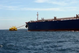 (Ảnh minh họa: Nguyễn Đăng Lâm/TTXVN)