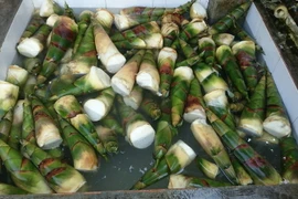 Măng tươi tẩm hóa chất. (Ảnh minh họa: Đậu Tất Thành/TTXVN)