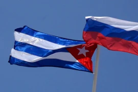(Nguồn: rt.com)