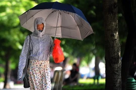 (Ảnh minh họa: Quang Quyết/TTXVN)