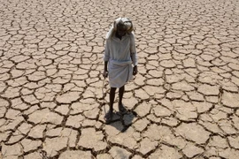 Một cánh đồng khô kiệt ở Chandampet Mandal, Nalgonda thuộc bang Telangana, miền Nam Ấn Độ. (Nguồn: AFP/TTXVN)