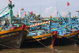 Tàu thuyền neo đậu trú bão. (Ảnh: Nguyễn Thanh/TTXVN)