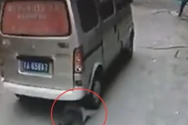 Hình ảnh được cắt từ clip.