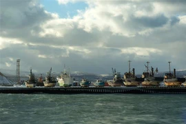 Tàu thuyền cập bến tại cảng ngoài khơi thị trấn Kuril trên đảo Iturup tháng 12/2016. (Nguồn: AFP/TTXVN) 