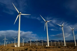 Ảnh minh họa. (Nguồn: THX/TTXVN)