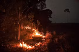 Đám cháy tại rừng Amazon ở gần Abuna, bang Rondonia, Brazil, ngày 24/8/2019. (Nguồn: AFP/TTXVN) 