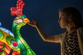 (Nguồn: Wolter Peeters)