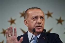 Tổng thống Thổ Nhĩ Kỳ Recep Tayyip Erdogan phát biểu tại tại Istanbul. (Nguồn: AFP/TTXVN)