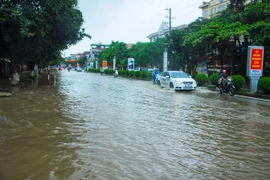 (Ảnh minh họa: Xuân Tư/TTXVN)