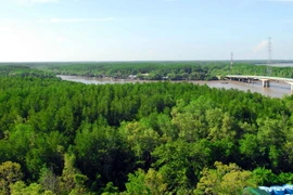 (Ảnh minh họa: Mạnh Linh/TTXVN)